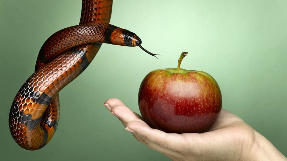 Hai biểu tượng về sự dữ: “trái cấm” và “con rắn”